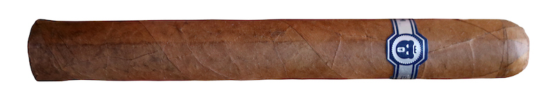 Warped El Oso Blanco Review