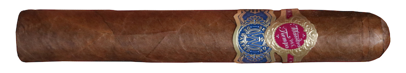 Warped Maestro del Tiempo 2020 Review