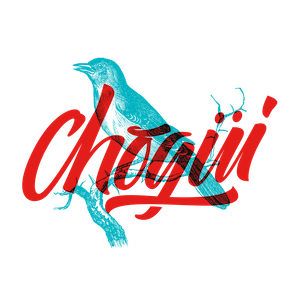 Where to Buy Chogui Cigars
